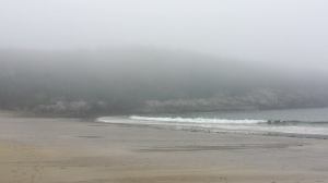 Foggy Sand Beach!